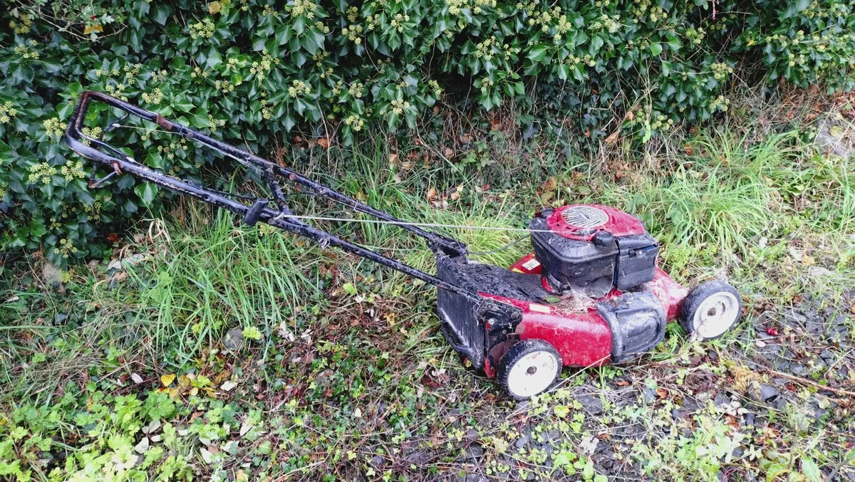 Lawnmower - Image 1