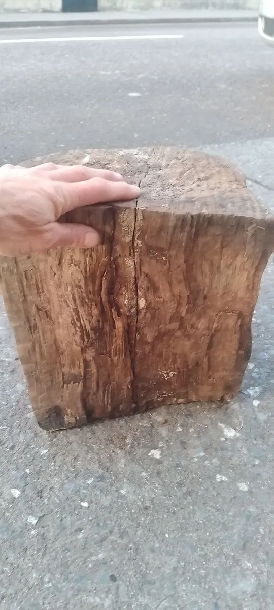 Walnut  Irish Walnut Block - Image 3