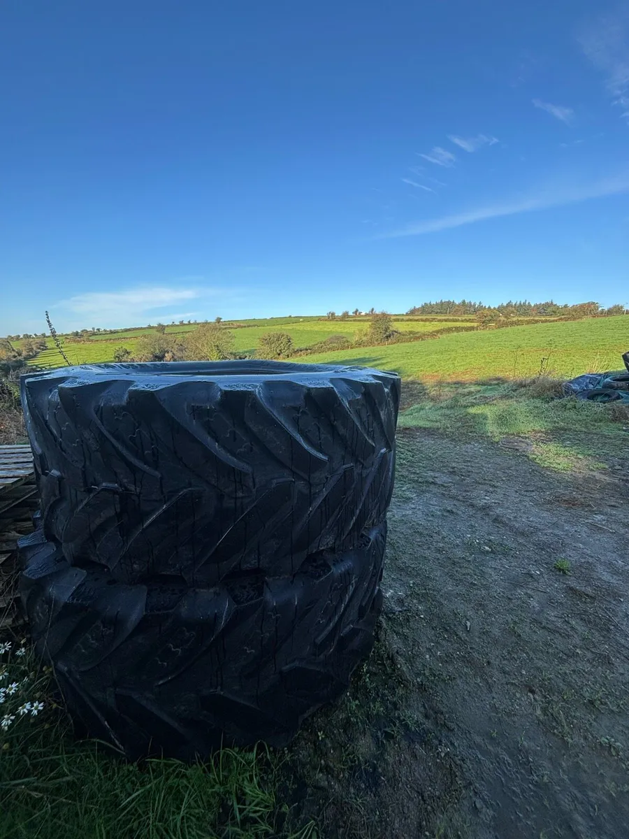 650 65 r38 - Image 2