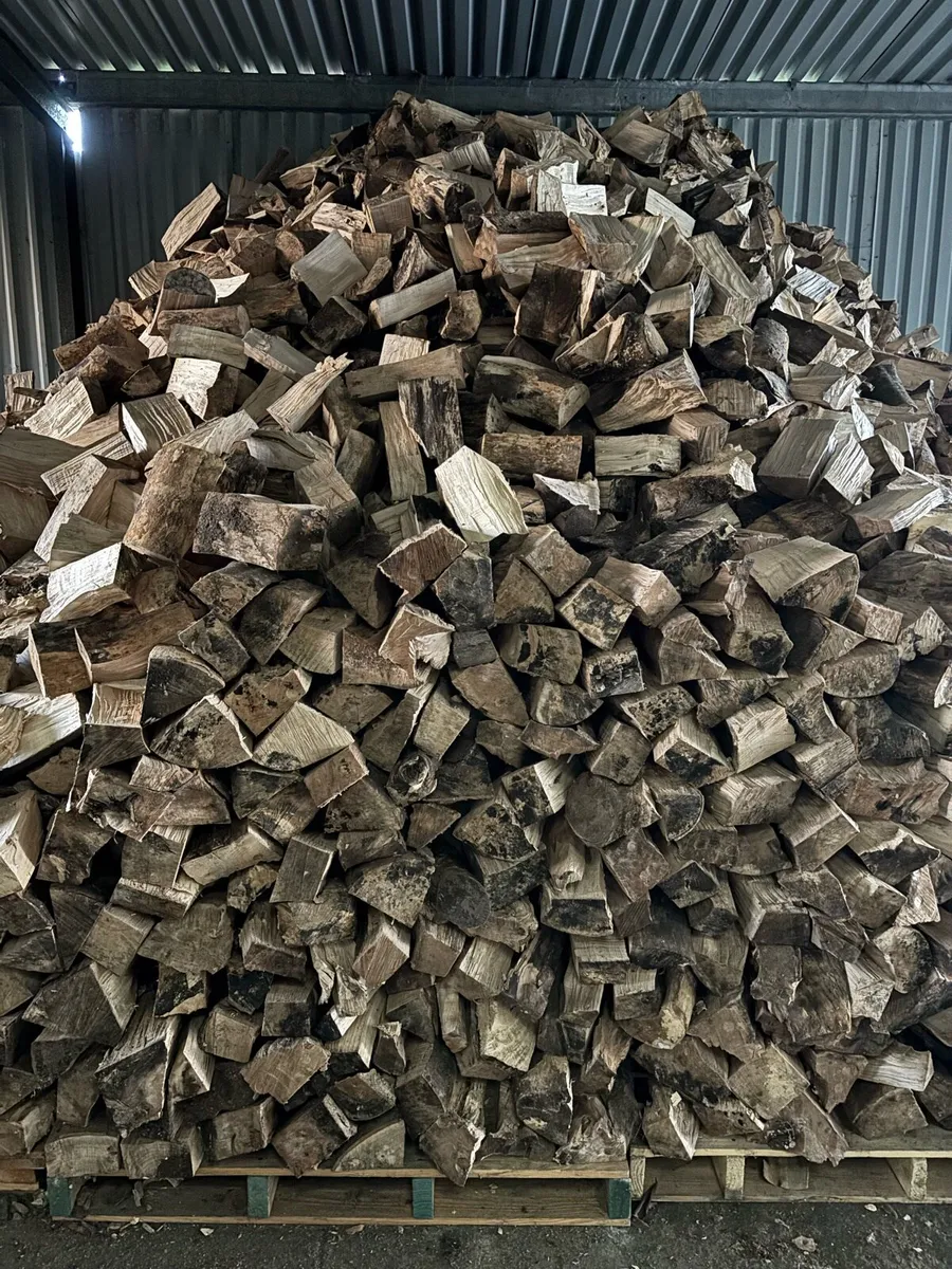 Firewood - Image 1