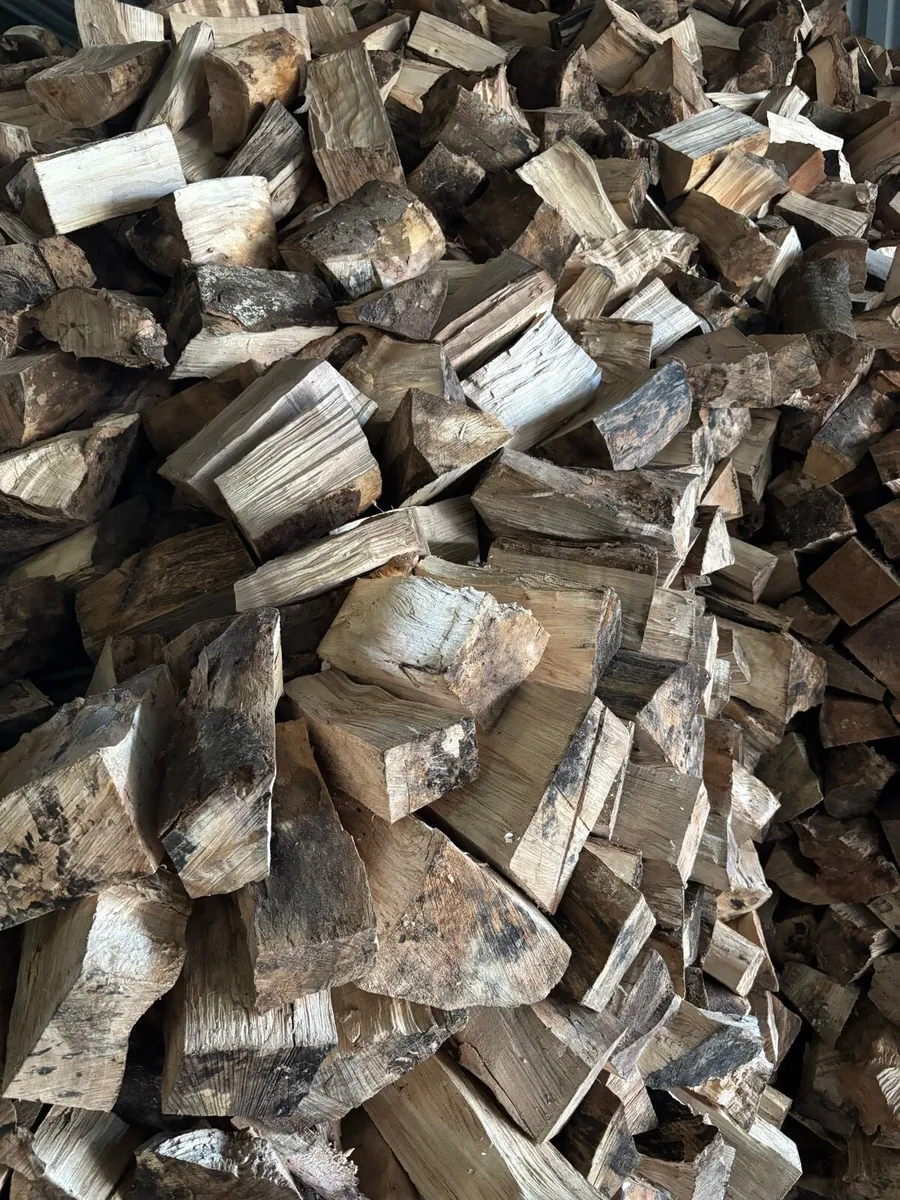 Firewood - Image 4