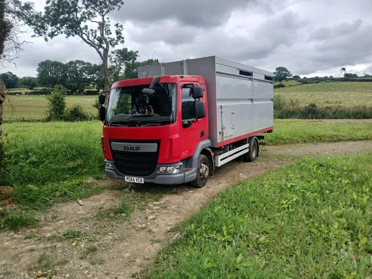 DAF LF Euro6 Cattle Lorry - Image 1