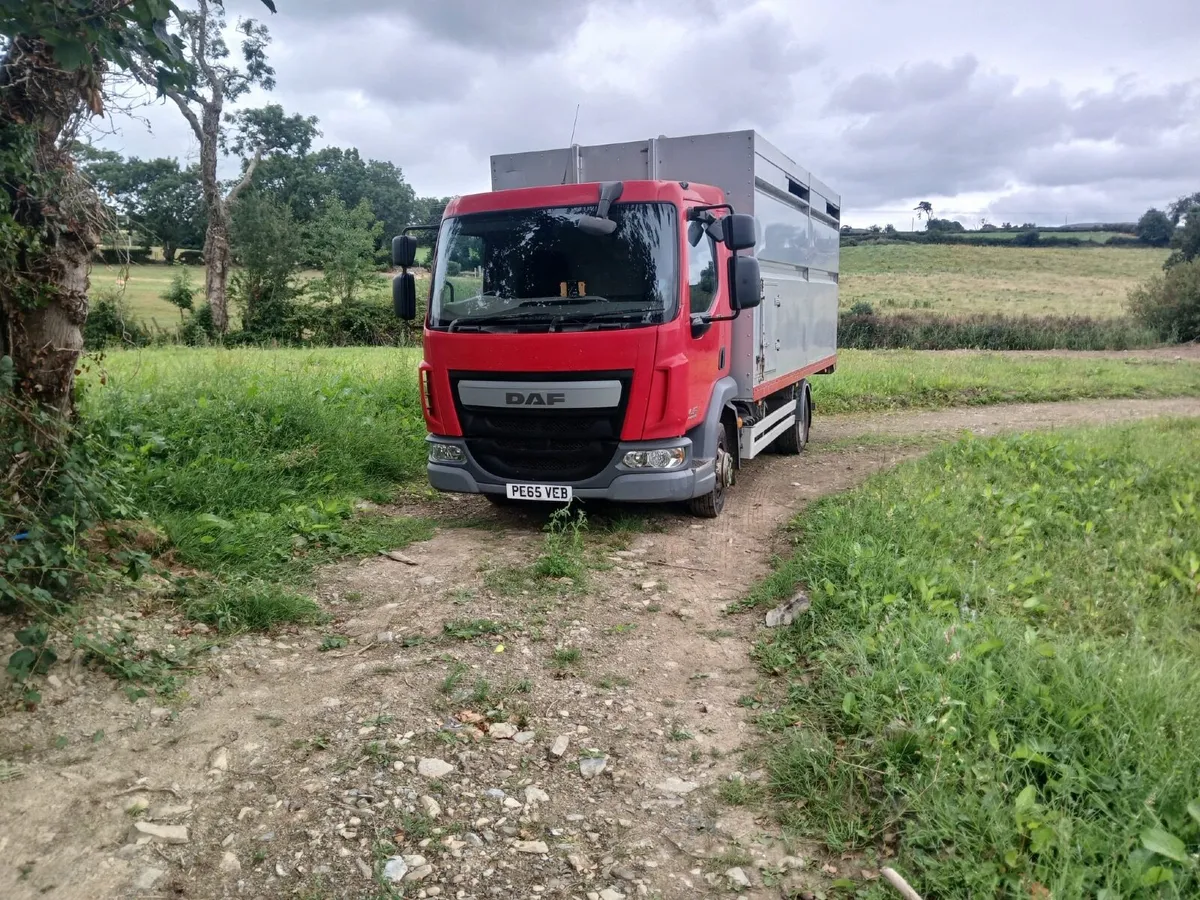 DAF LF Euro6 Cattle Lorry - Image 2