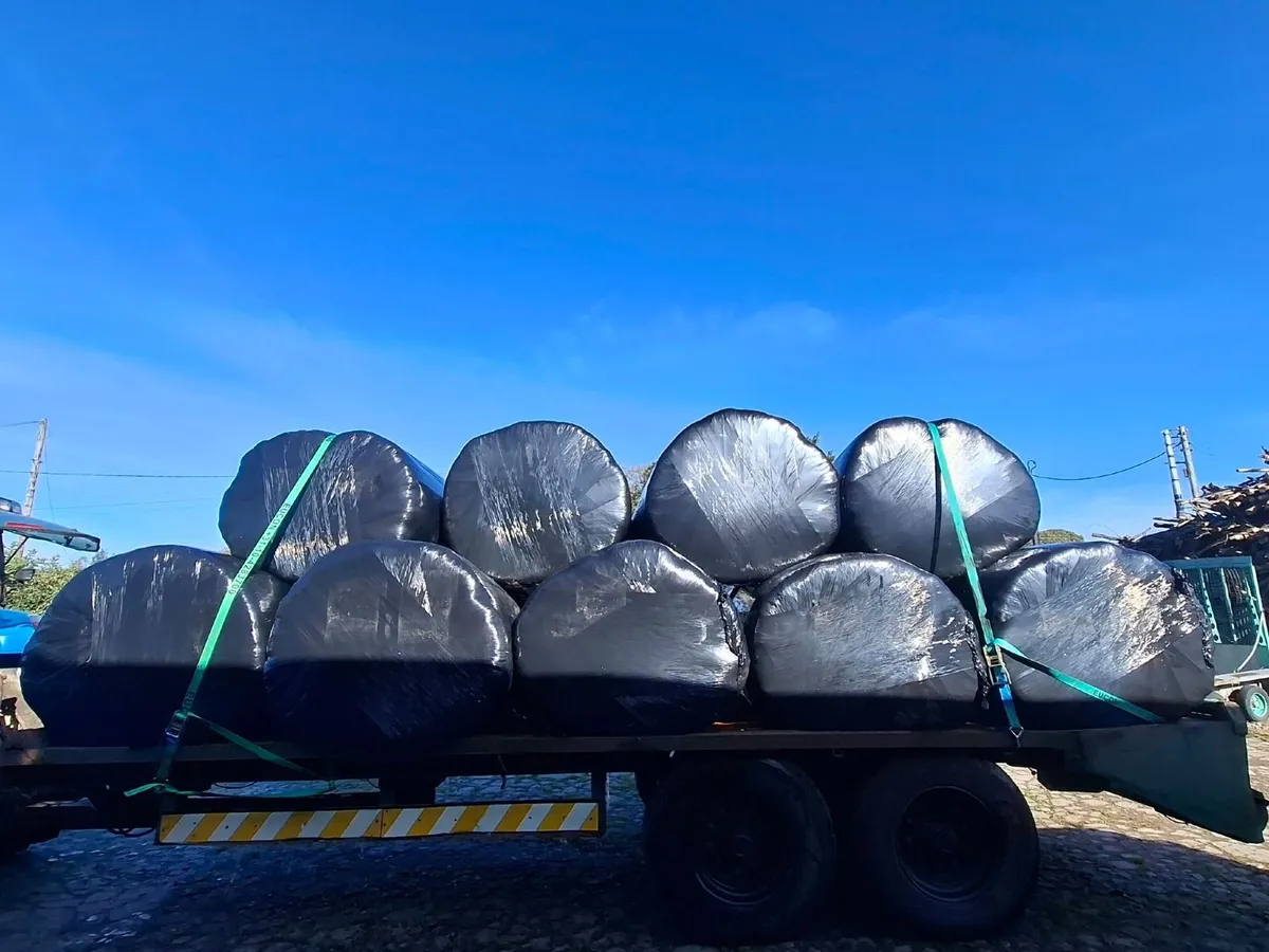 Silage bales - Image 3