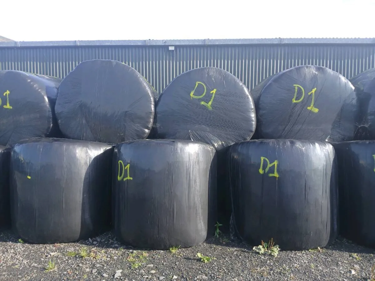 Round hay bales stored - Image 3
