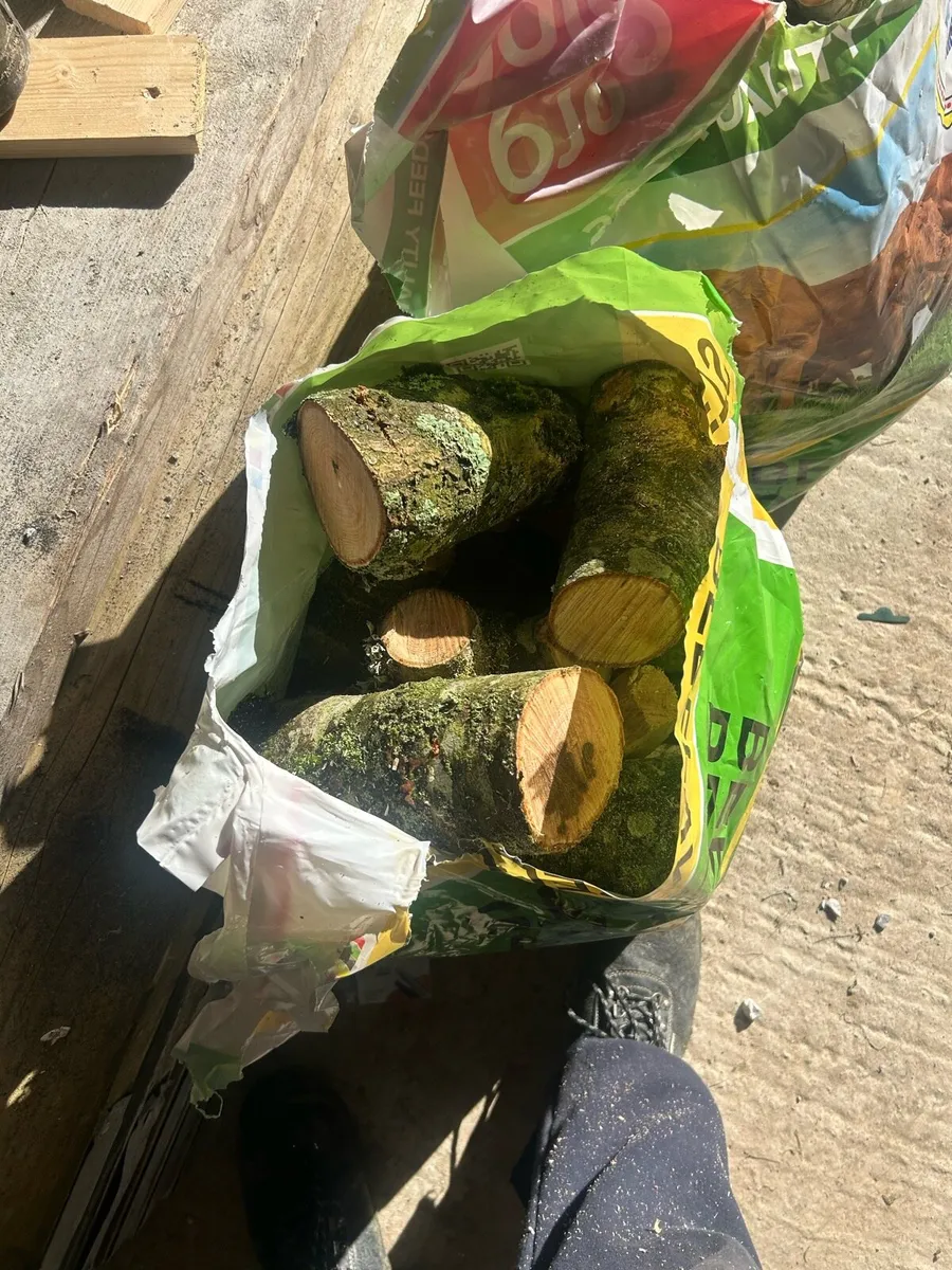 Bags of ash firewood - Image 1