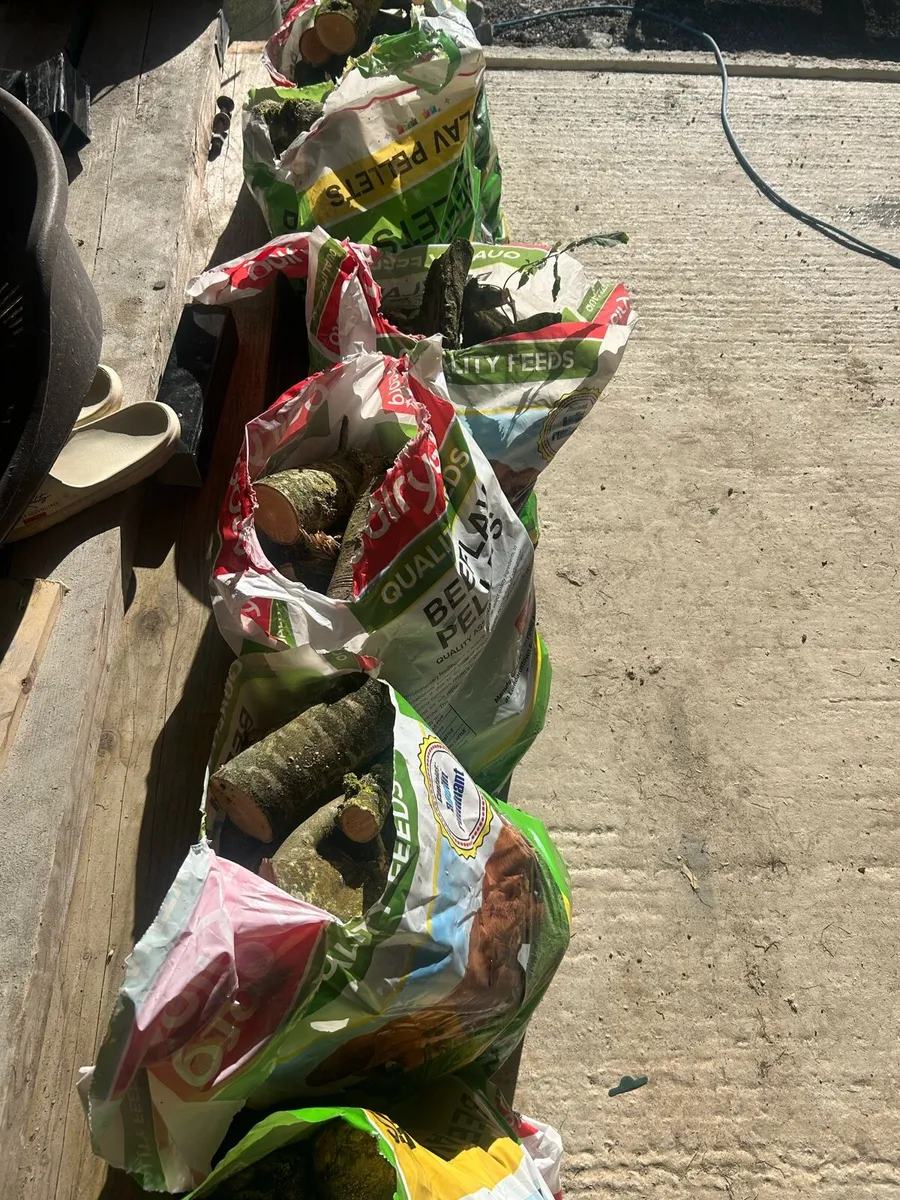 Bags of ash firewood - Image 2