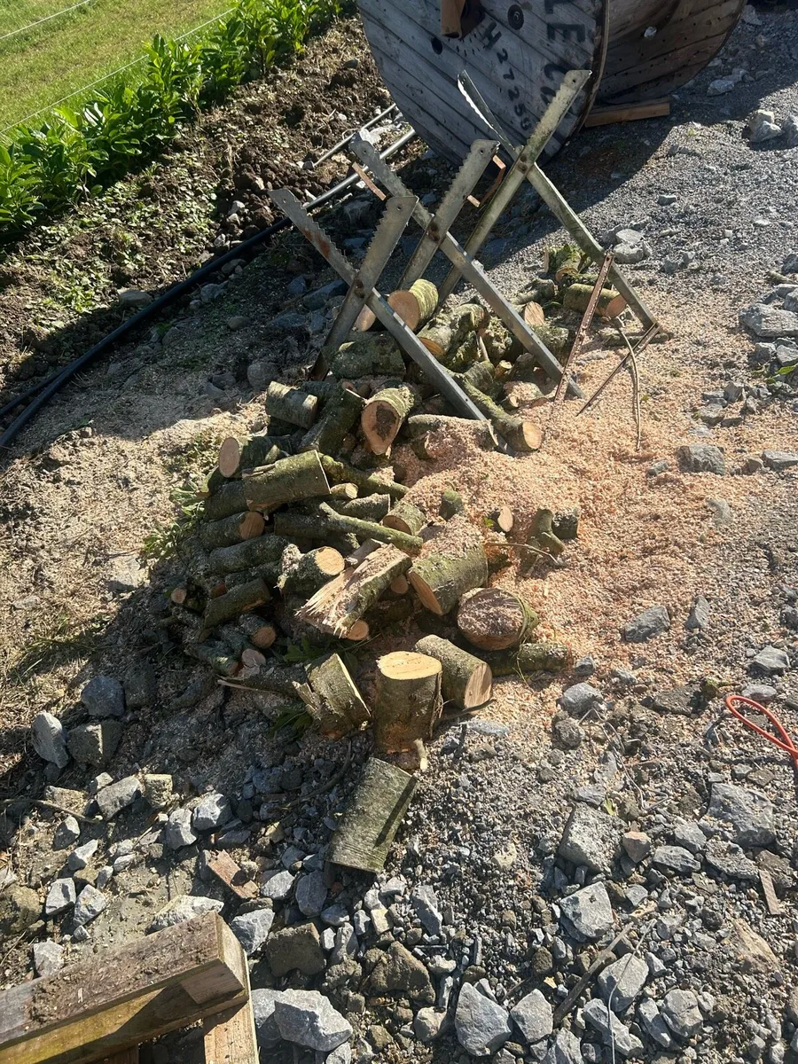 Bags of ash firewood - Image 3