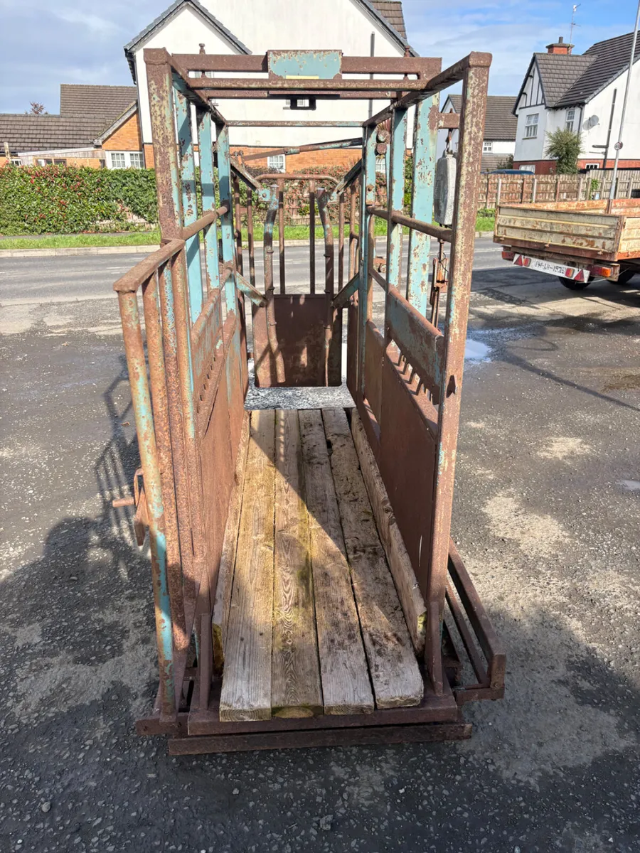 Morris weighing crush - Image 4