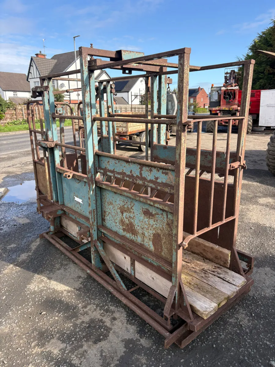 Morris weighing crush - Image 3
