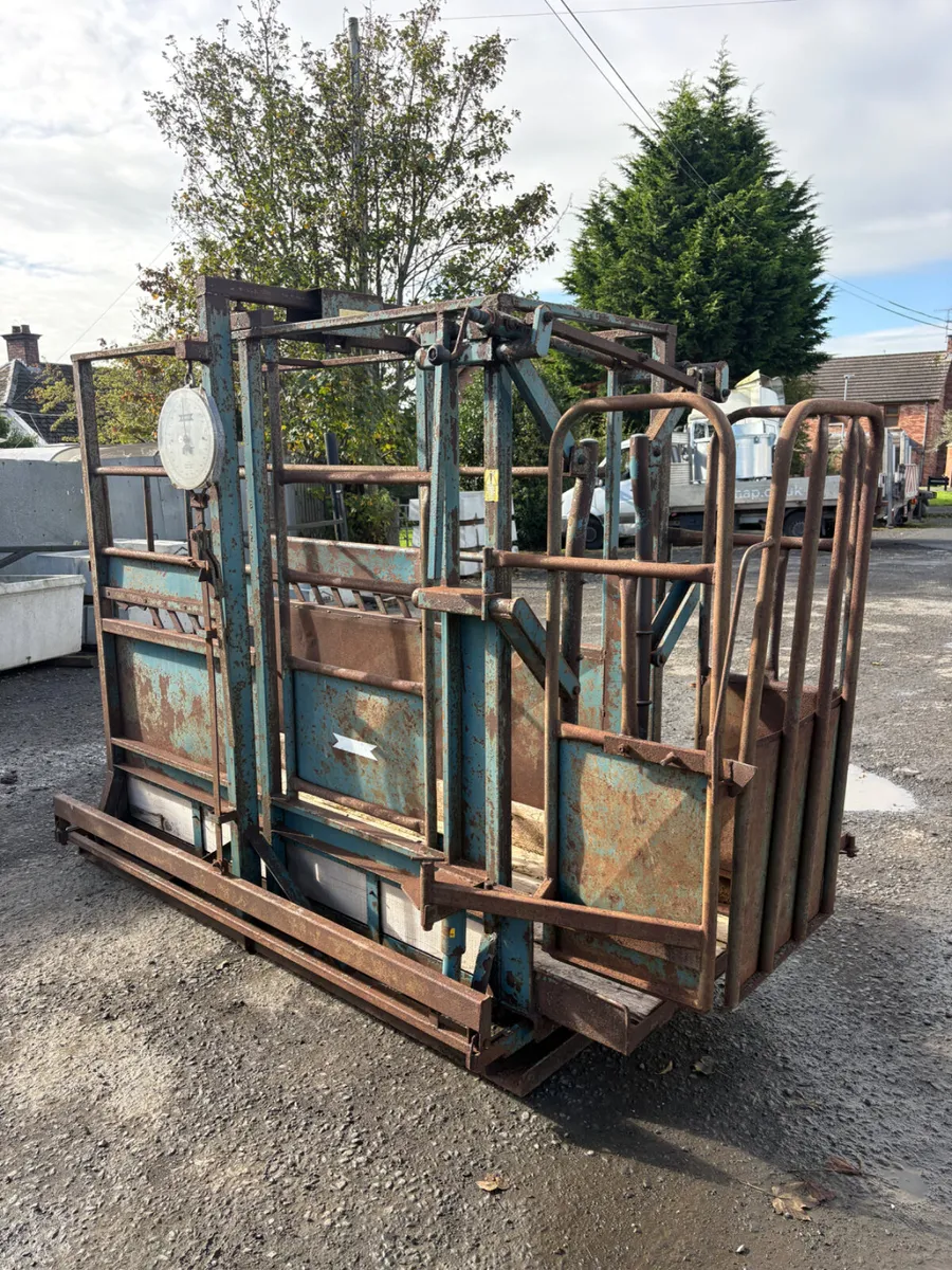 Morris weighing crush - Image 1