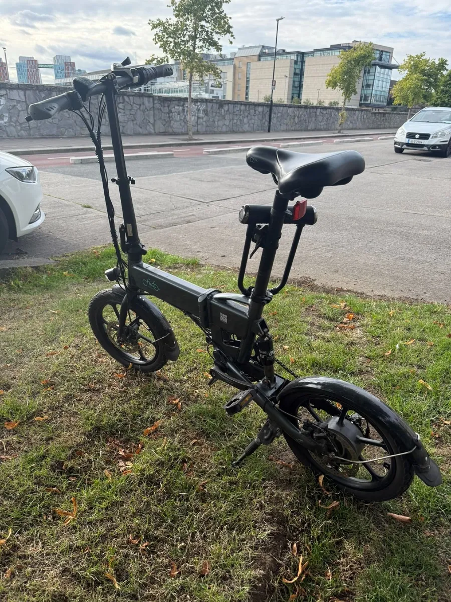 Fiido D2S Folding Electric Bike - Image 2