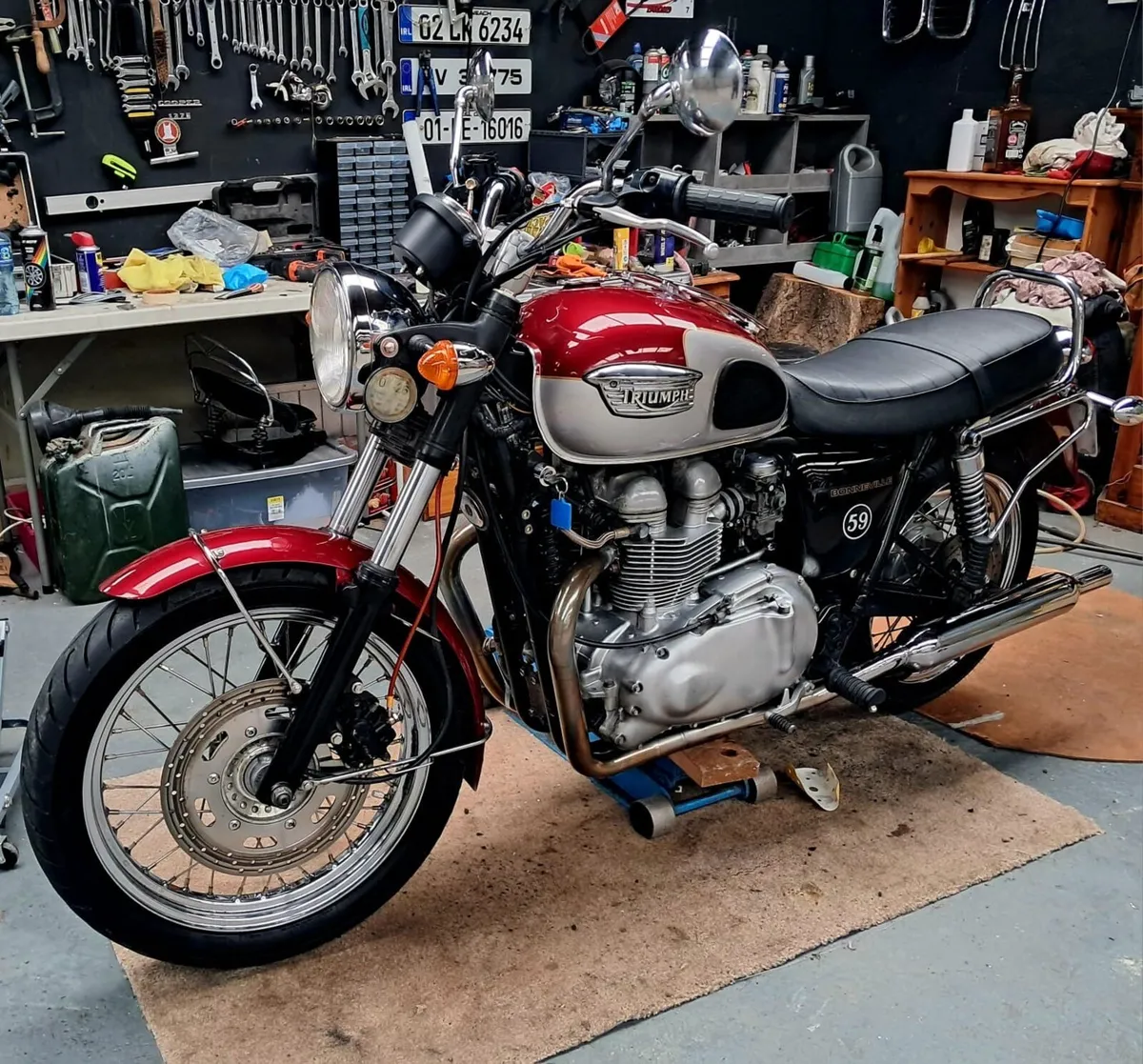 Triumph bonneville - Image 1