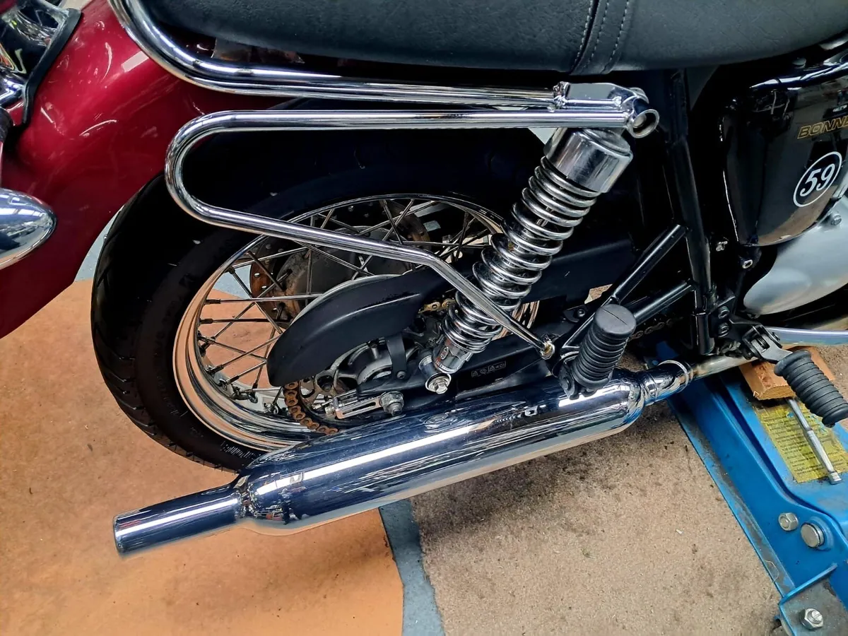 Triumph bonneville - Image 4