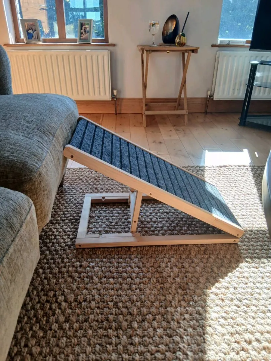 Dog ramp - Image 1