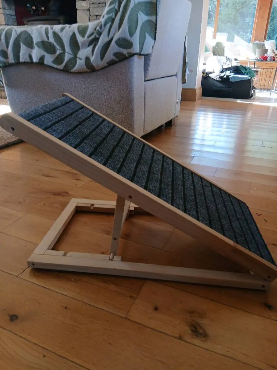 Dog ramp - Image 2