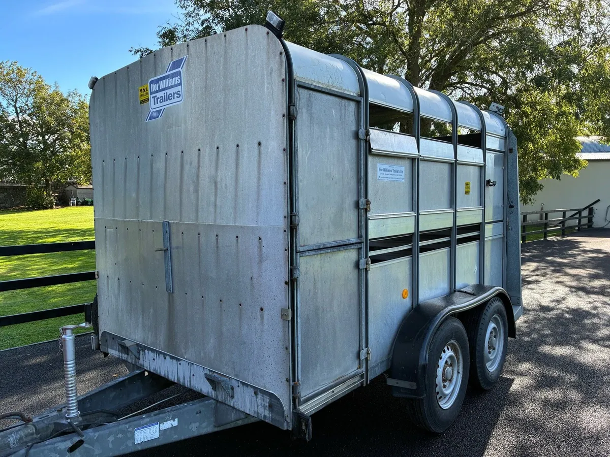 Ifor Williams 10x6 Cattle Box - Image 2