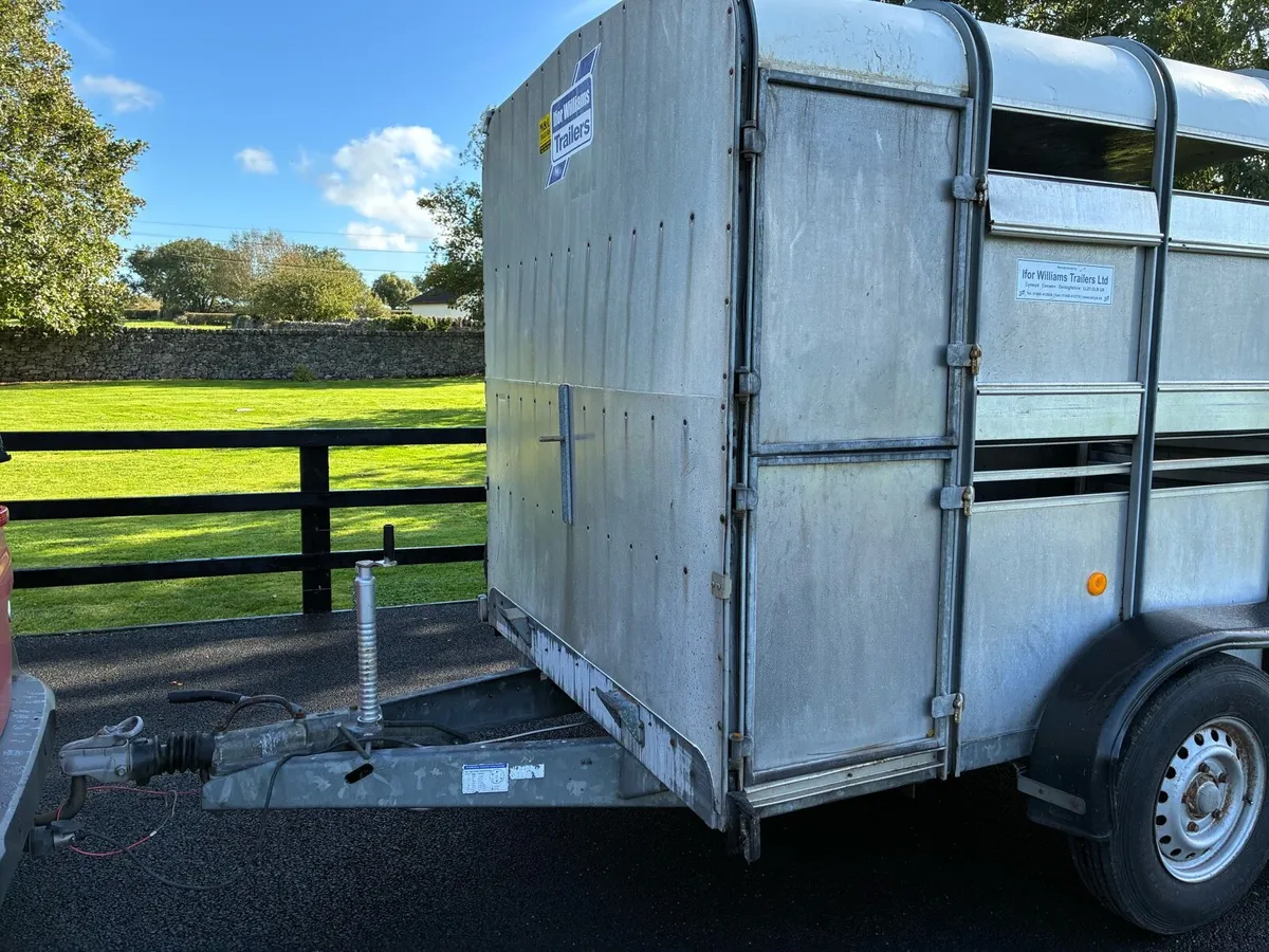 Ifor Williams 10x6 Cattle Box - Image 3