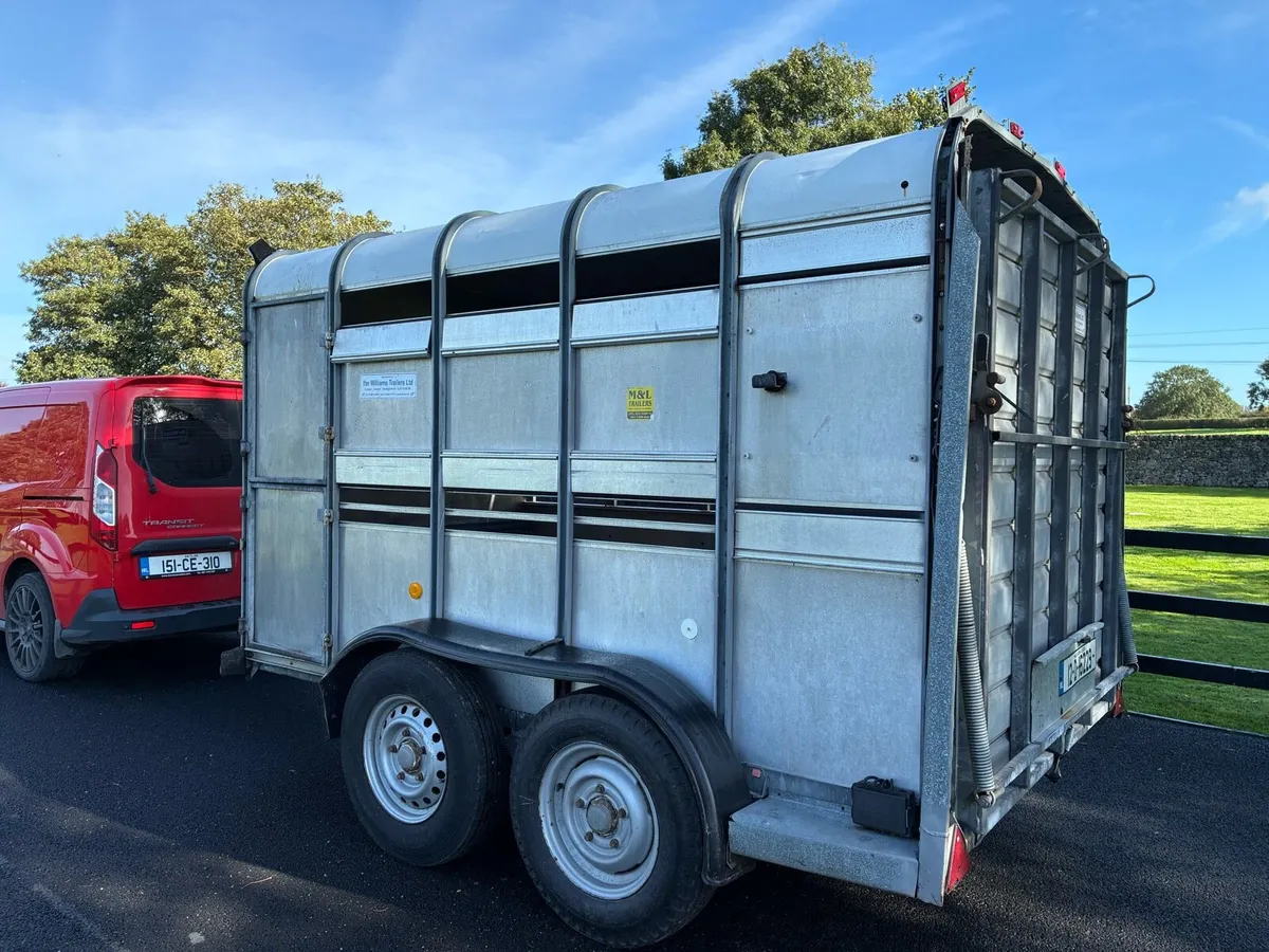 Ifor Williams 10x6 Cattle Box - Image 4