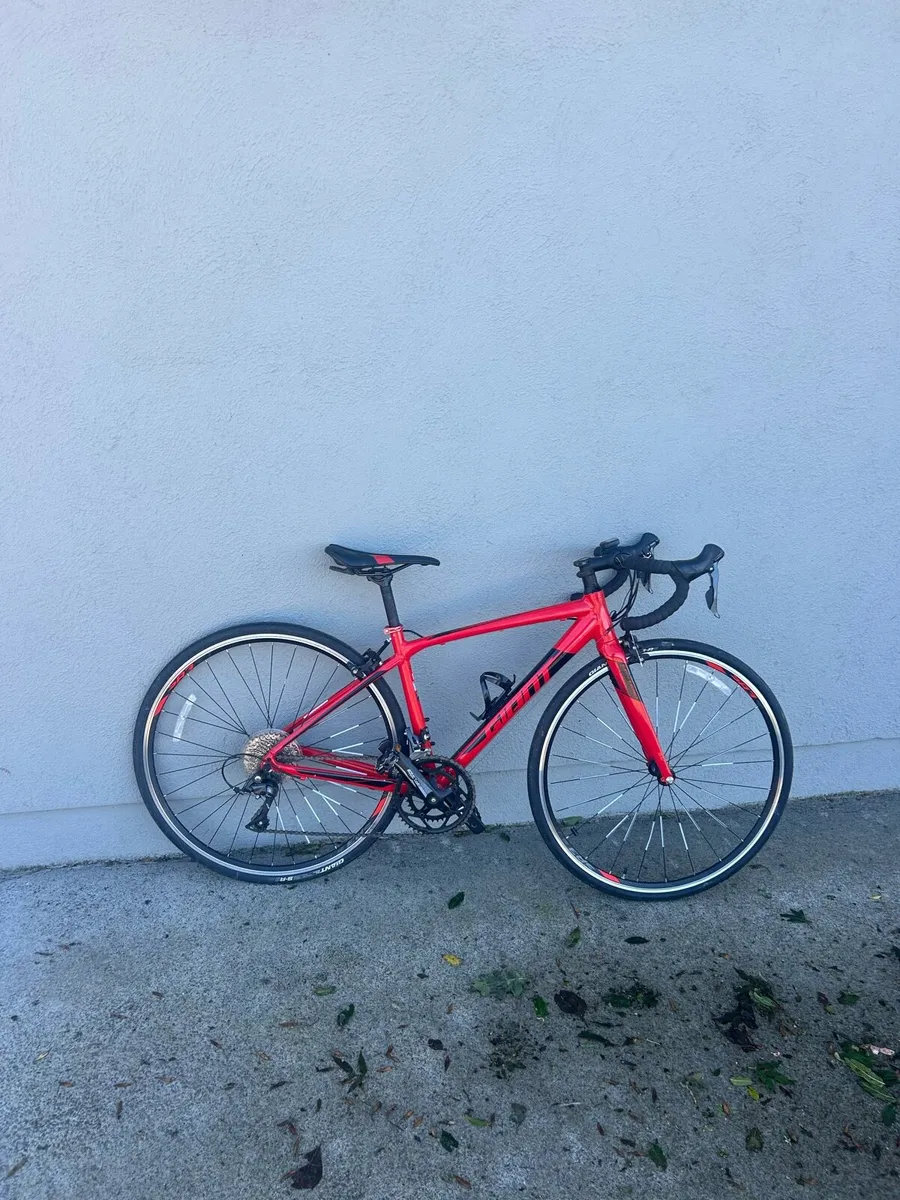Giant contend 2 - Image 1