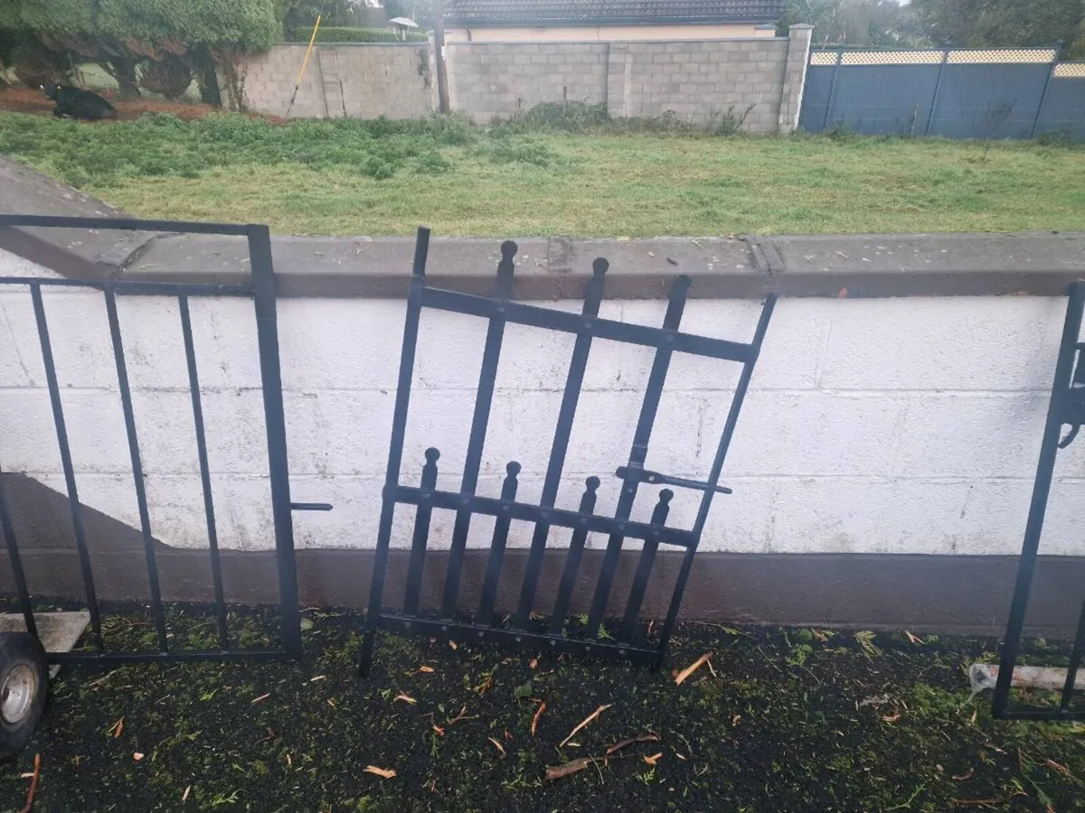 Fully refurbished gates - Image 2