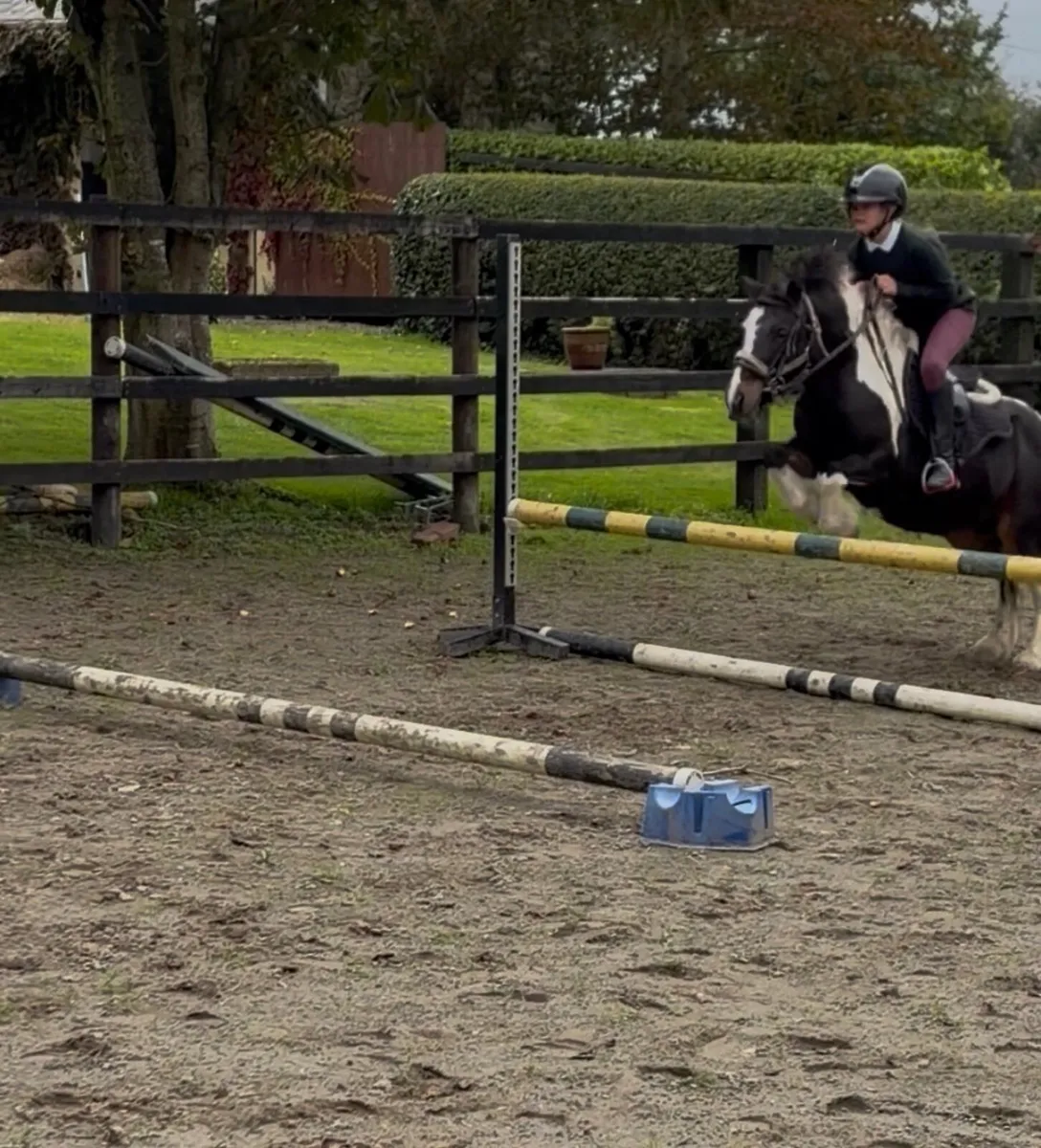 Ponies - Image 3