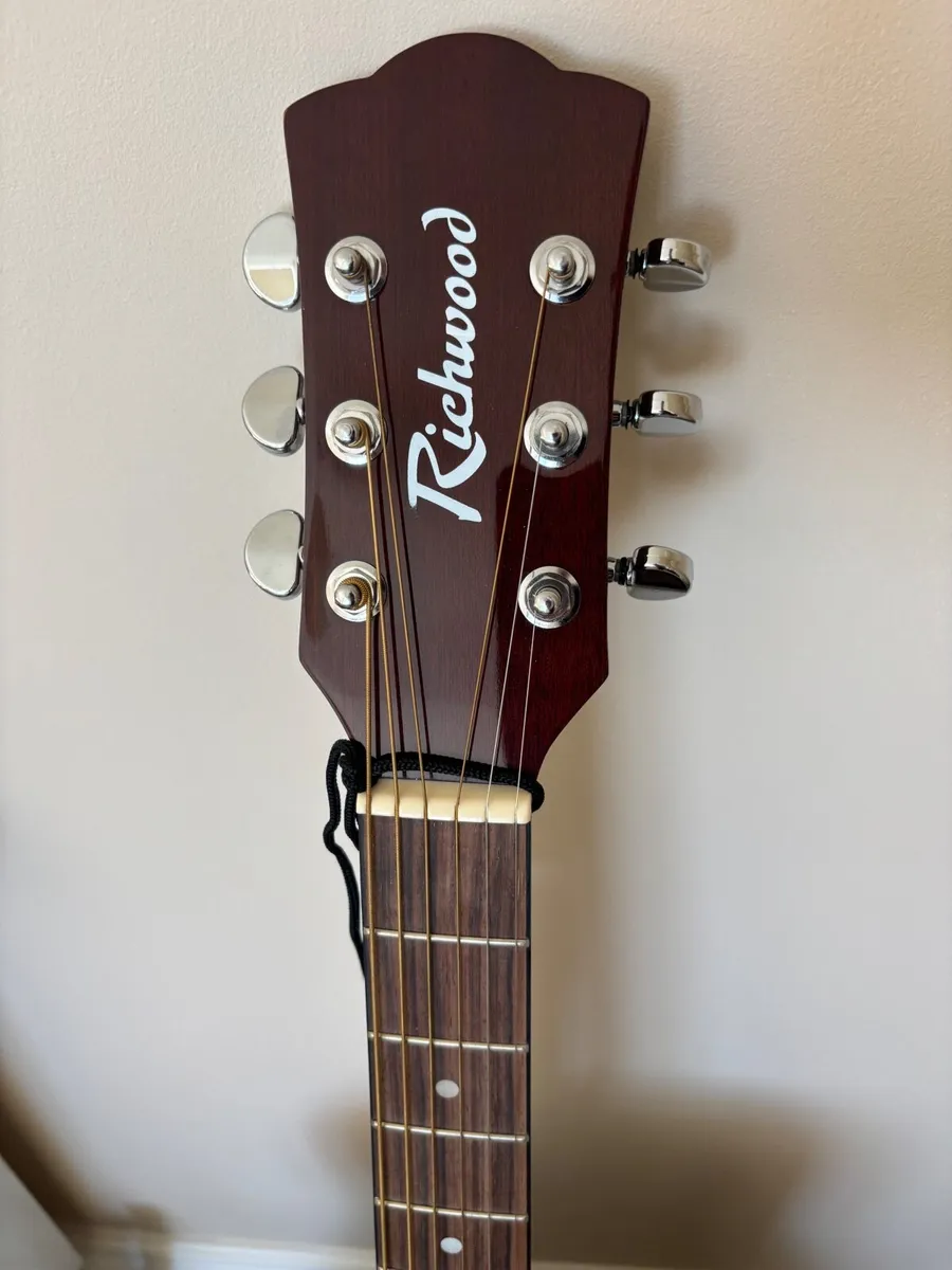 Richwood Guitar - Image 2