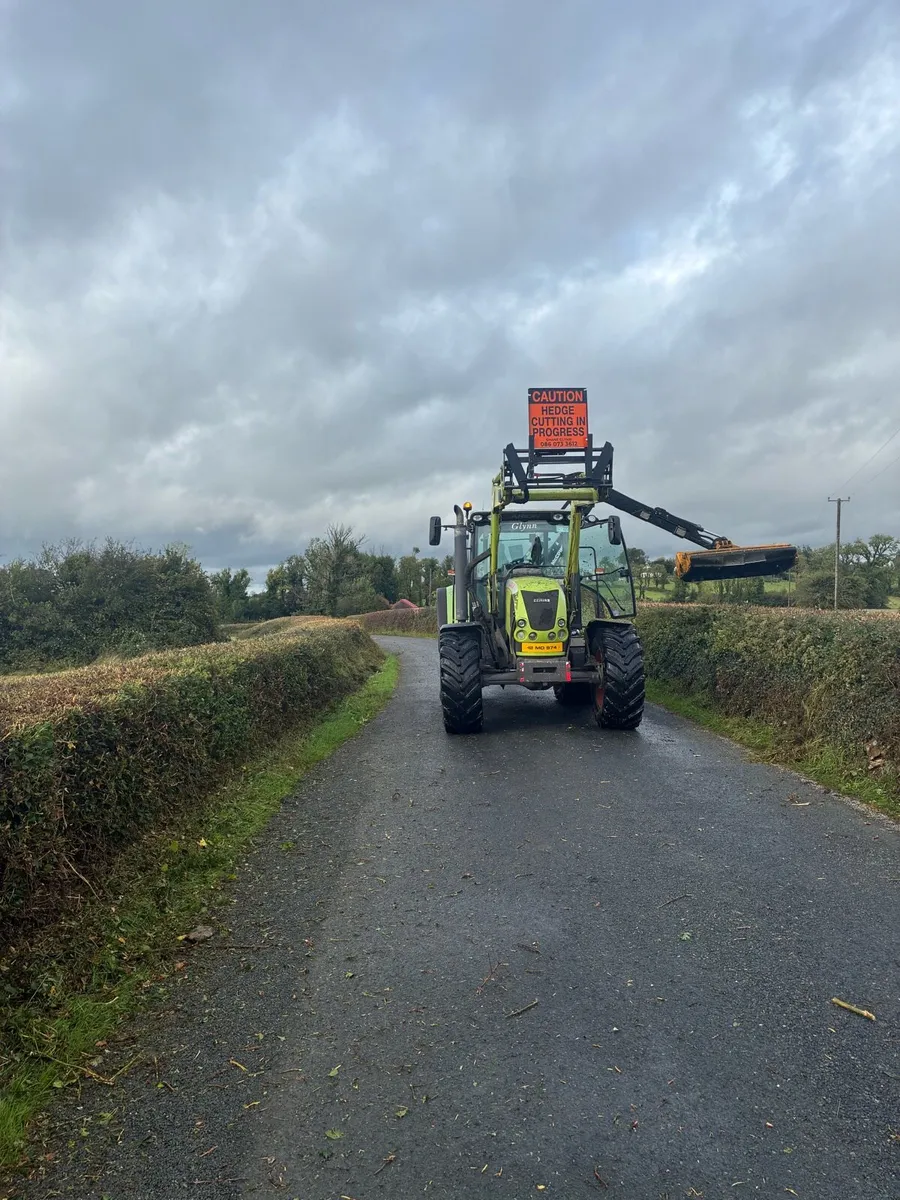 Hedge cutting - Image 1