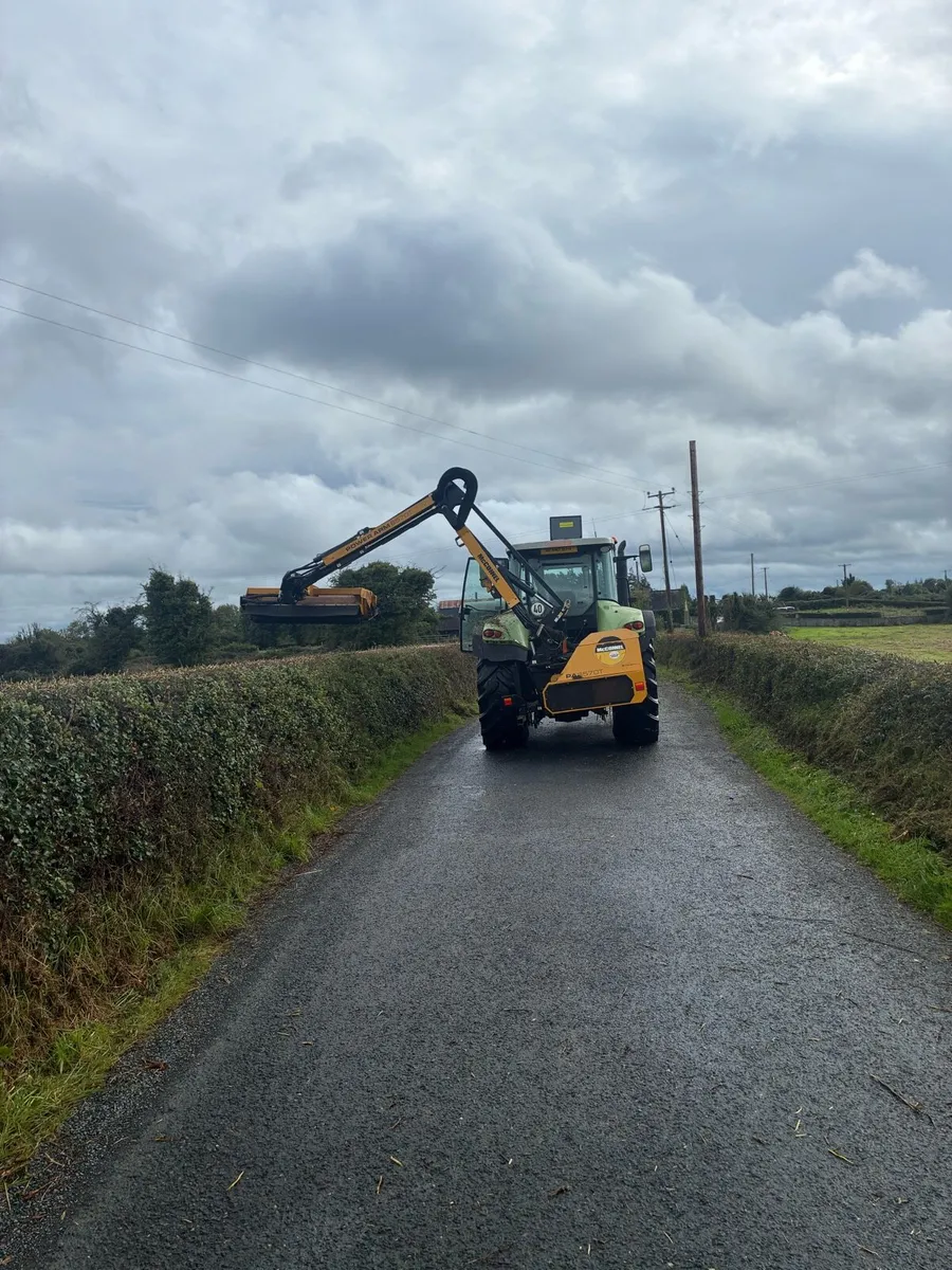 Hedge cutting - Image 2