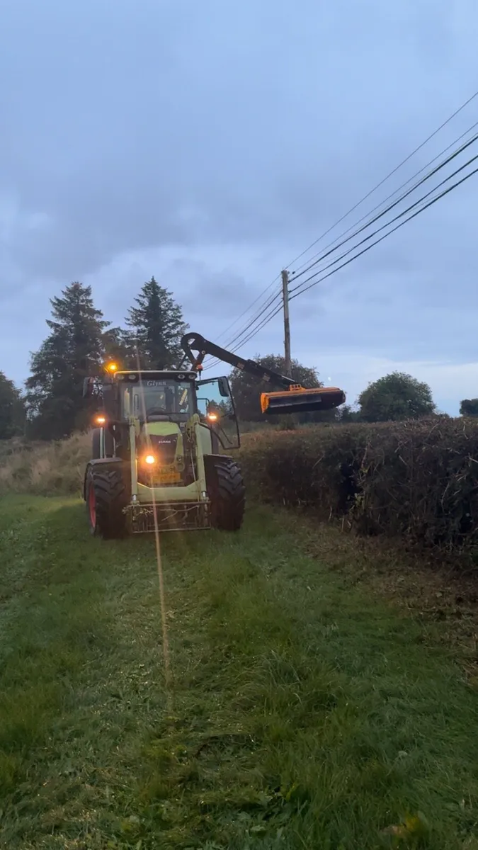 Hedge cutting - Image 3