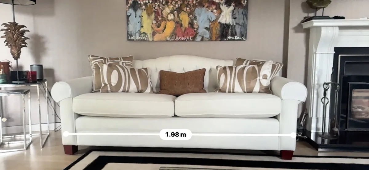 Designer Sofa and Rug - Image 1