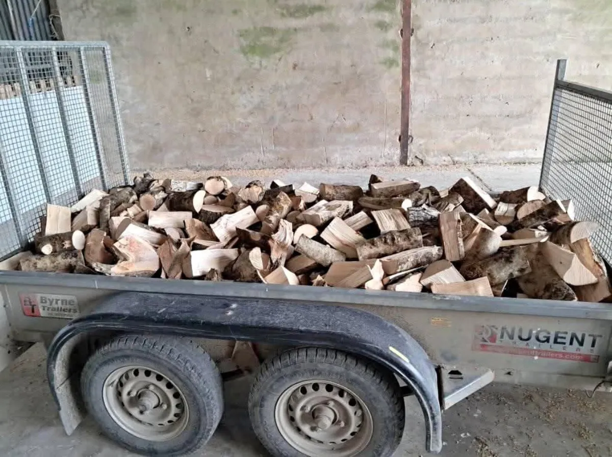 Trailer loads of Ash - Image 1