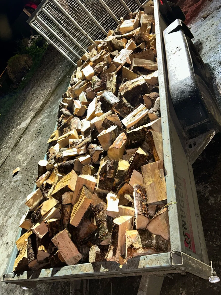 Trailer loads of Ash - Image 2