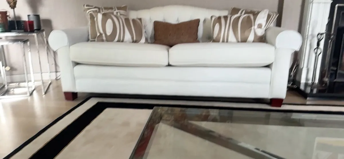 Designer Sofa and Rug - Image 2