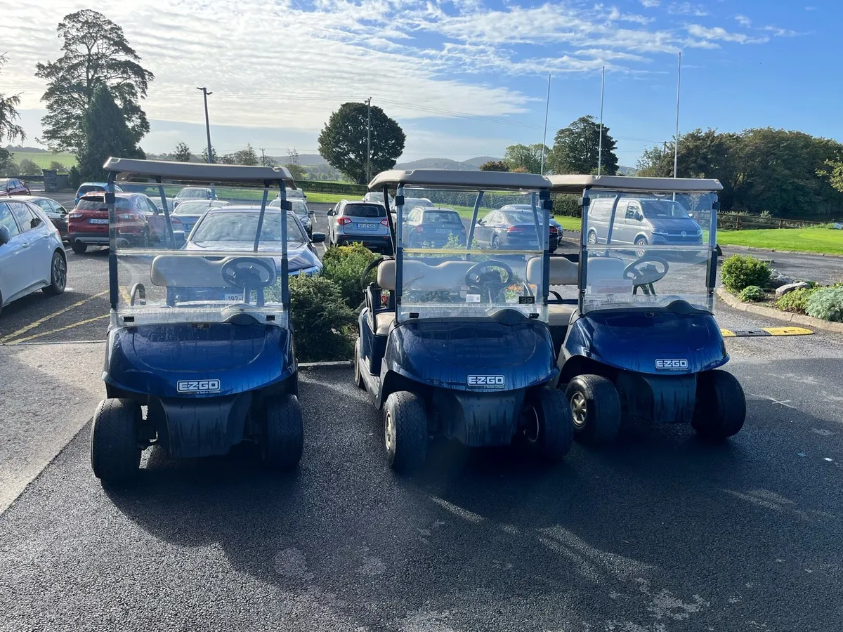 Electric Golf Buggy. - Image 3