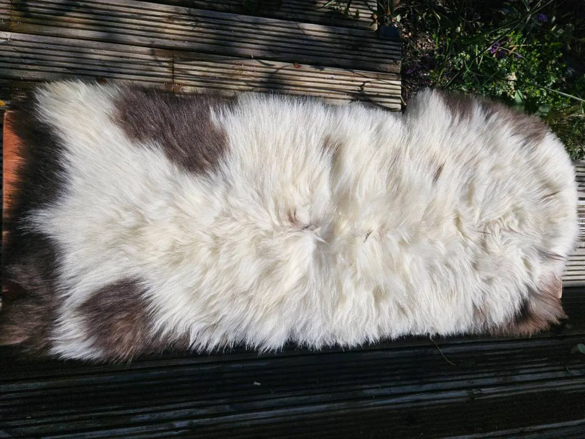 2 New Soft Cream & Brown Genuine Sheepskin Rugs - Image 3
