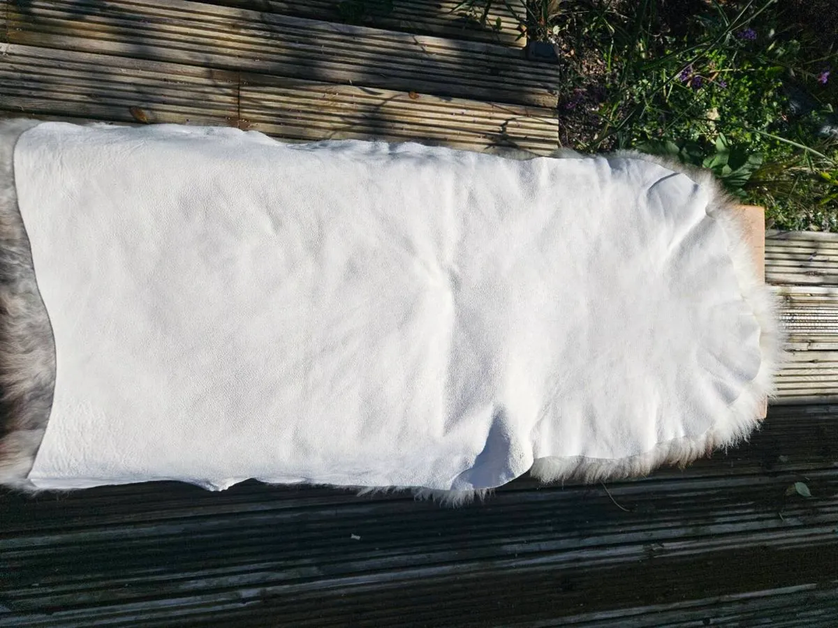 2 New Soft Cream & Brown Genuine Sheepskin Rugs - Image 4