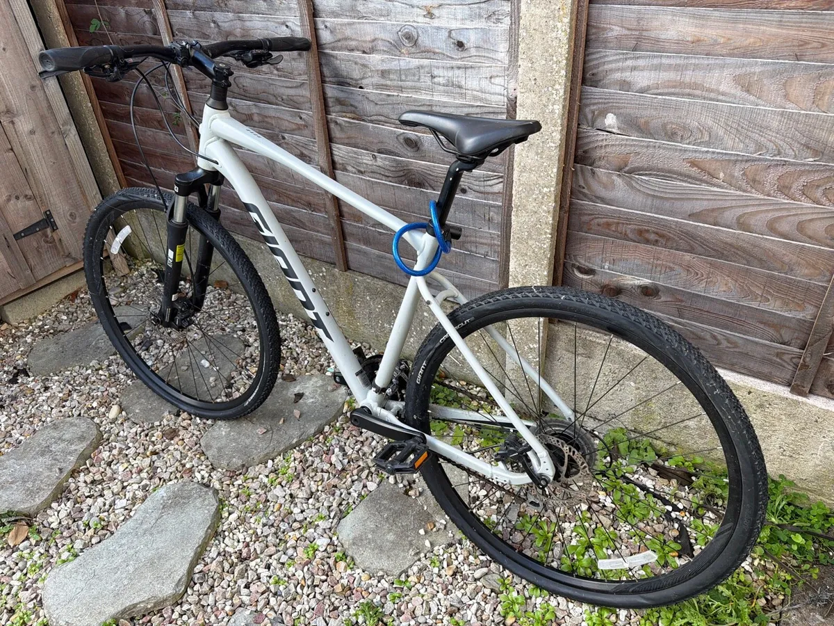 Giant Roam 3