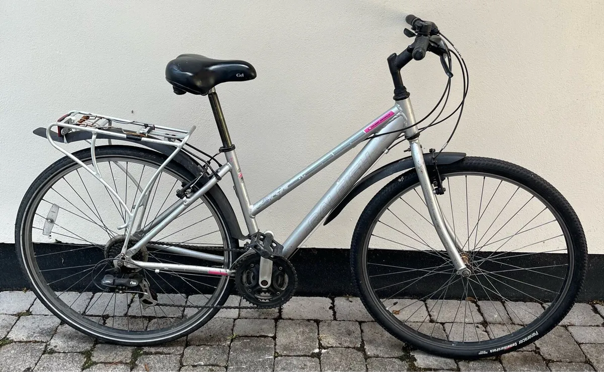 Hybrid bike