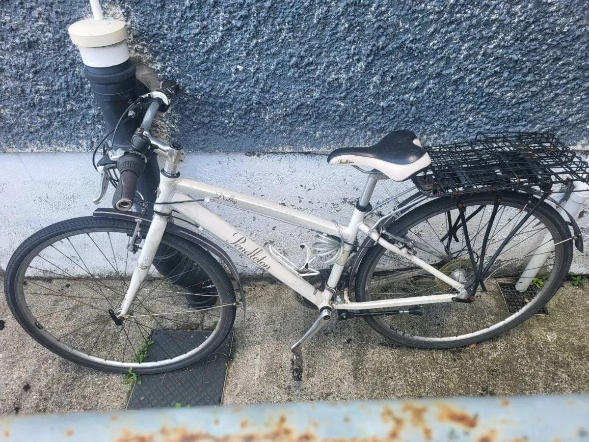 Ladies bike - Image 2
