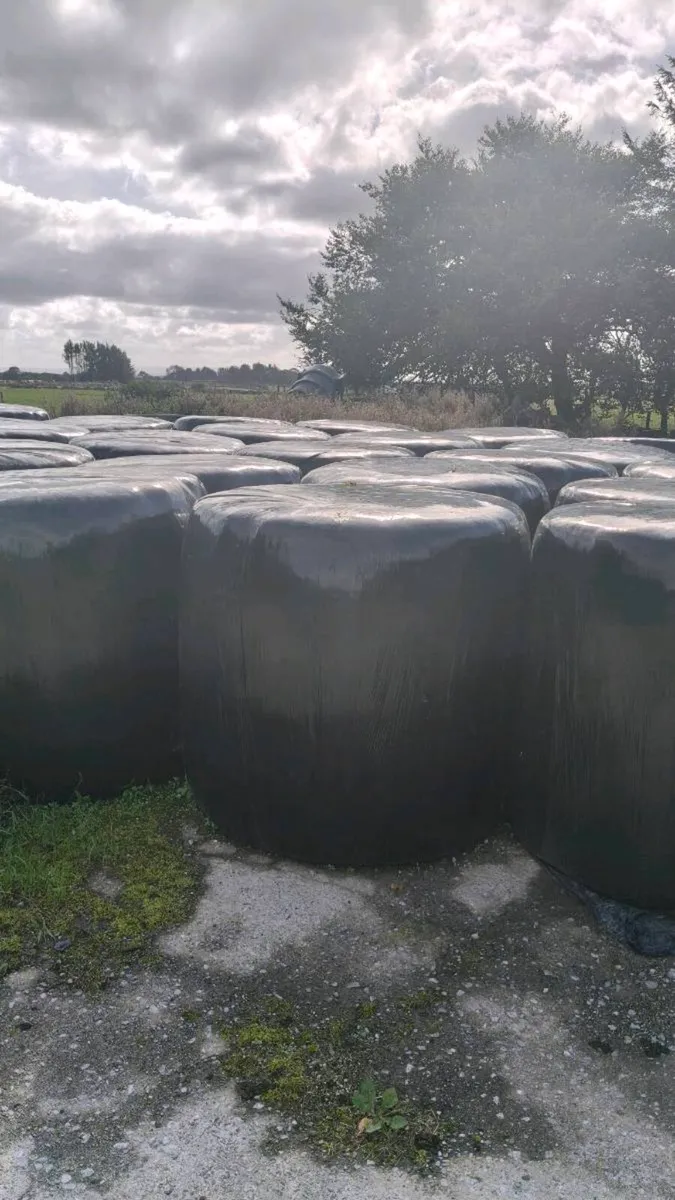 Silage