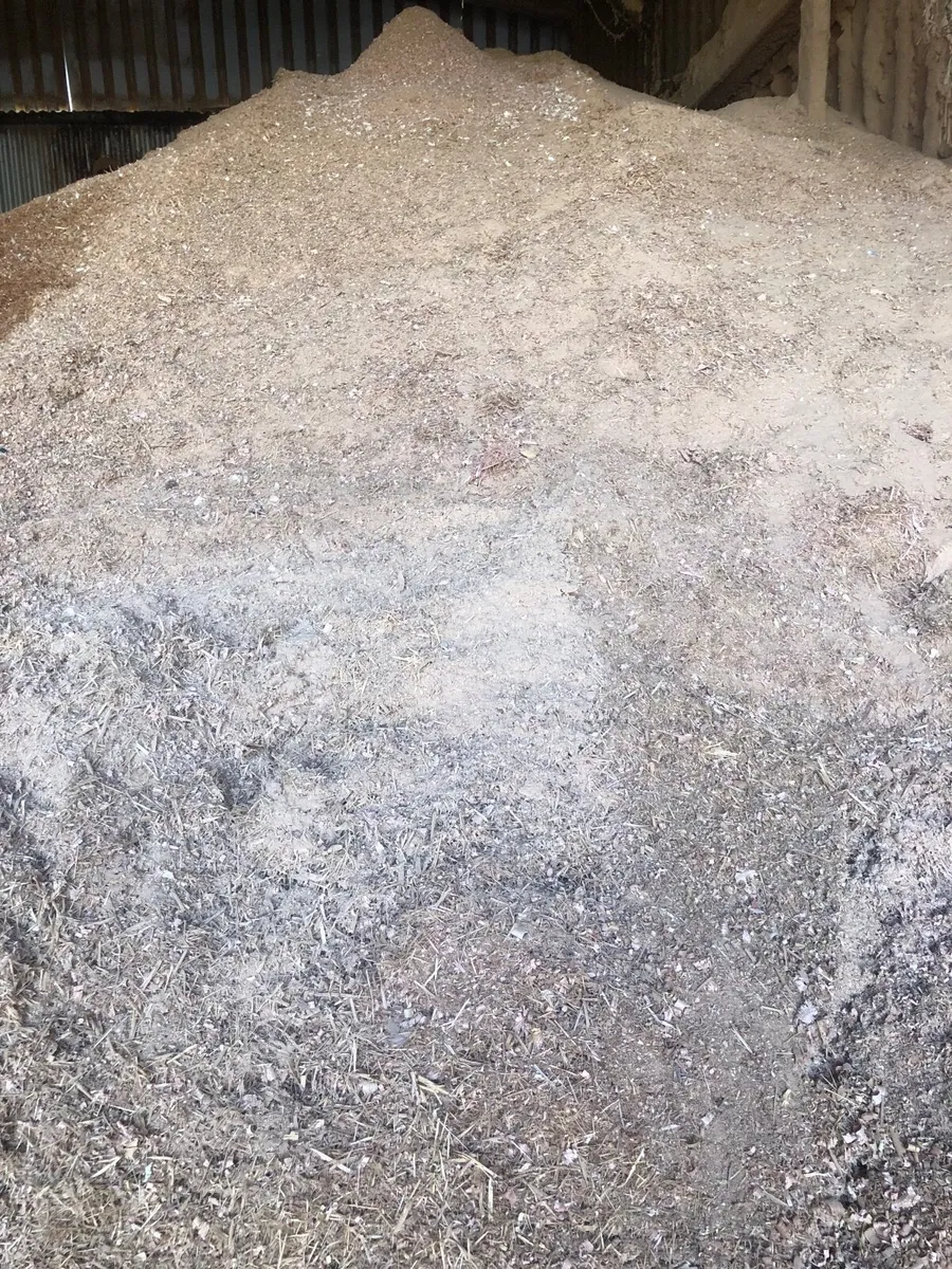 Dry wood shavings - Image 2