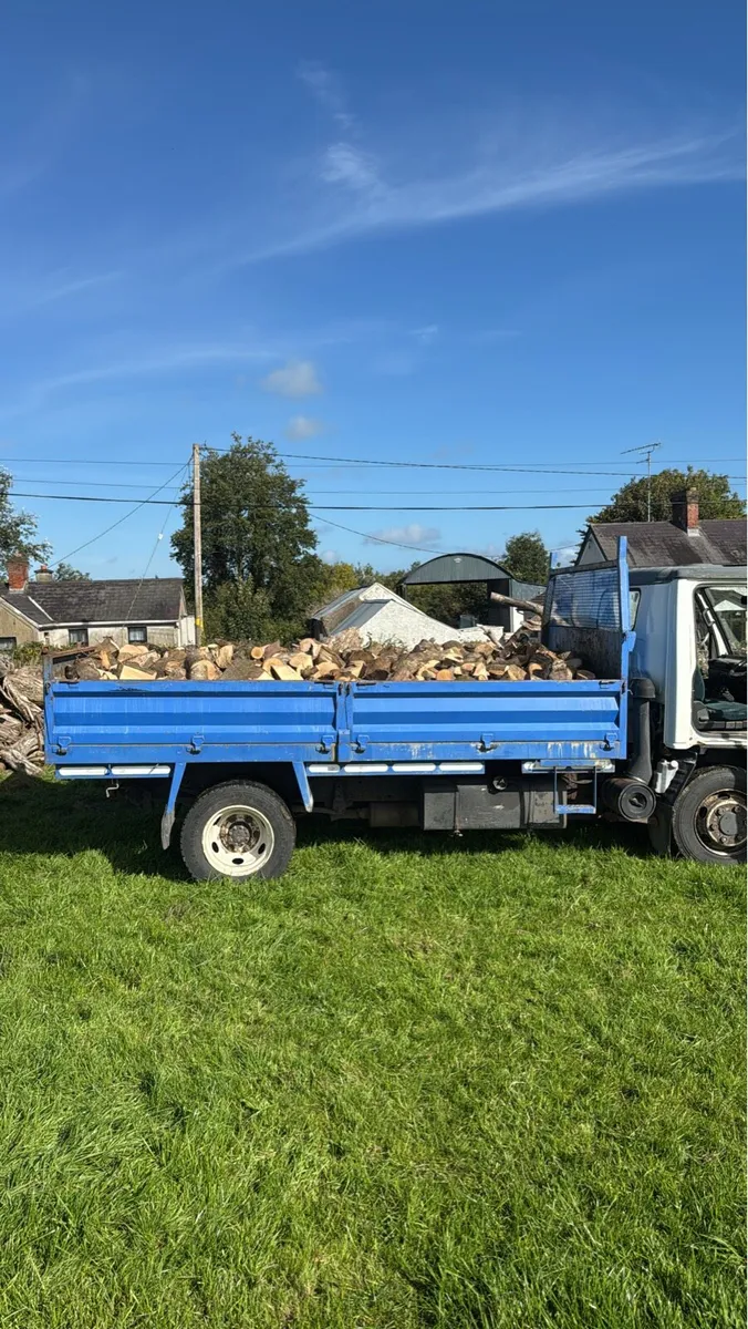 Firewood - Image 1