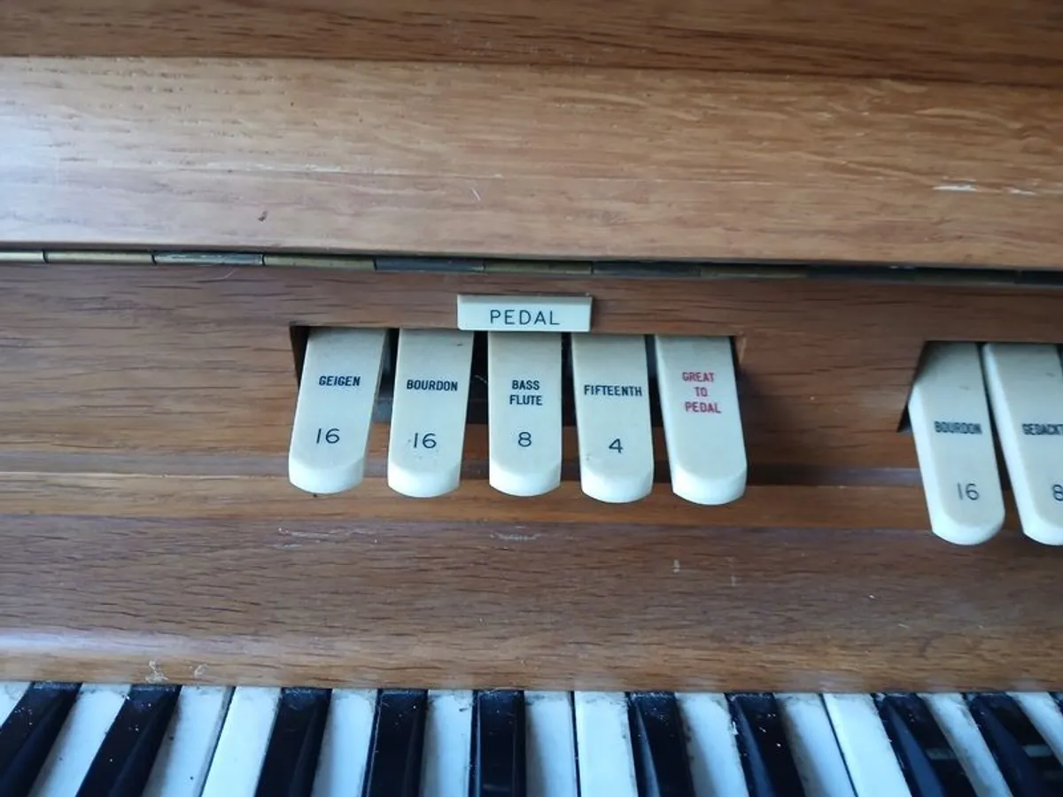 Electric Organ - Image 3