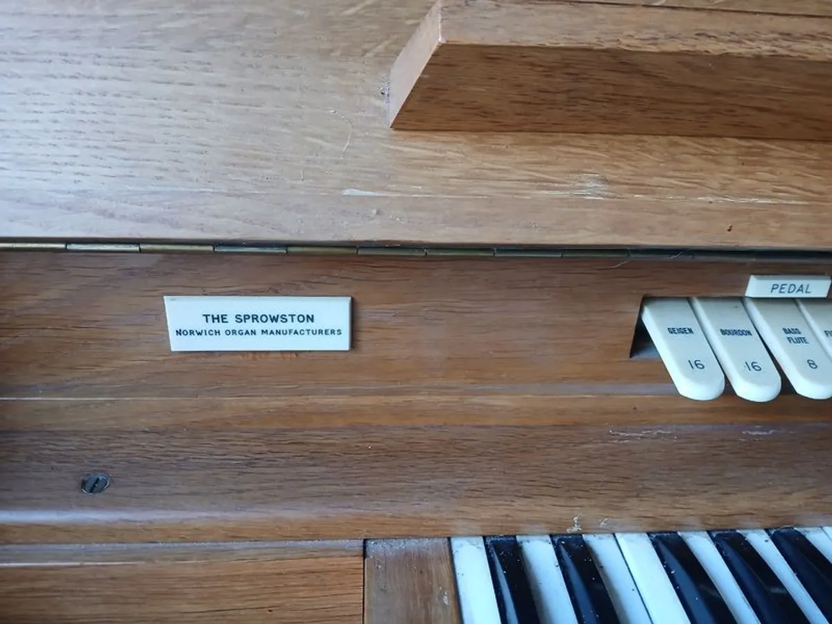 Electric Organ - Image 4
