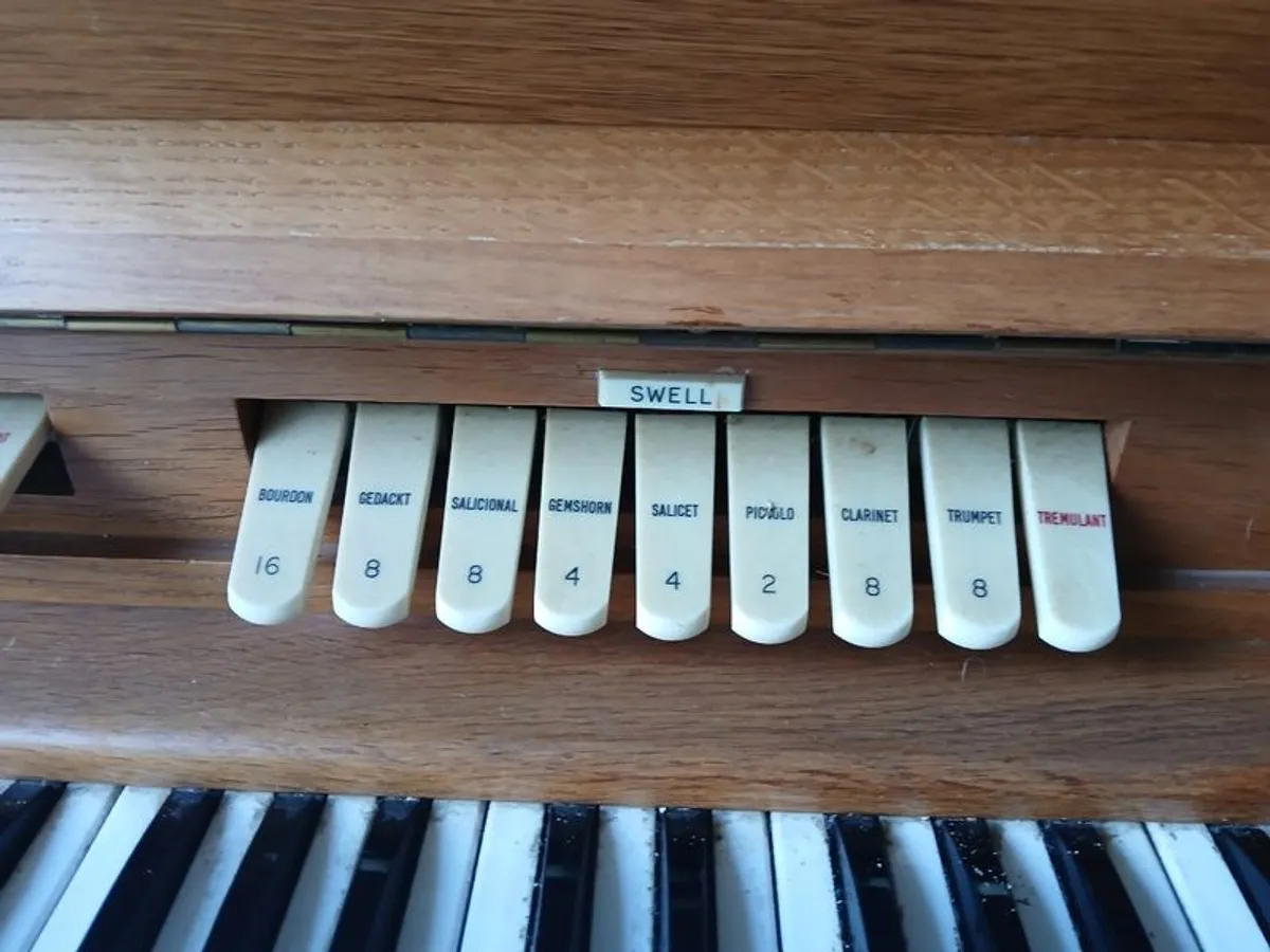 Electric Organ - Image 2