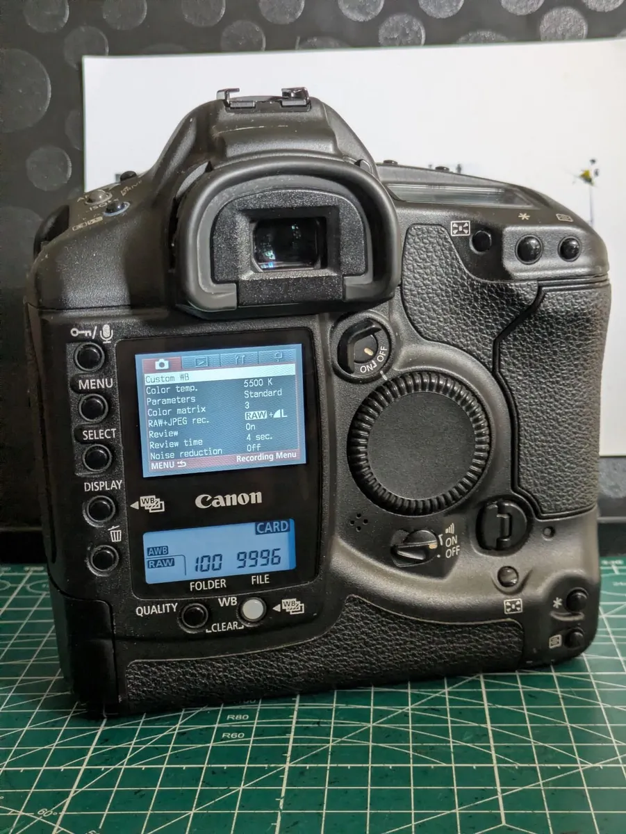Canon 1D Kodak CCD sensor Pro DSLR - Image 4