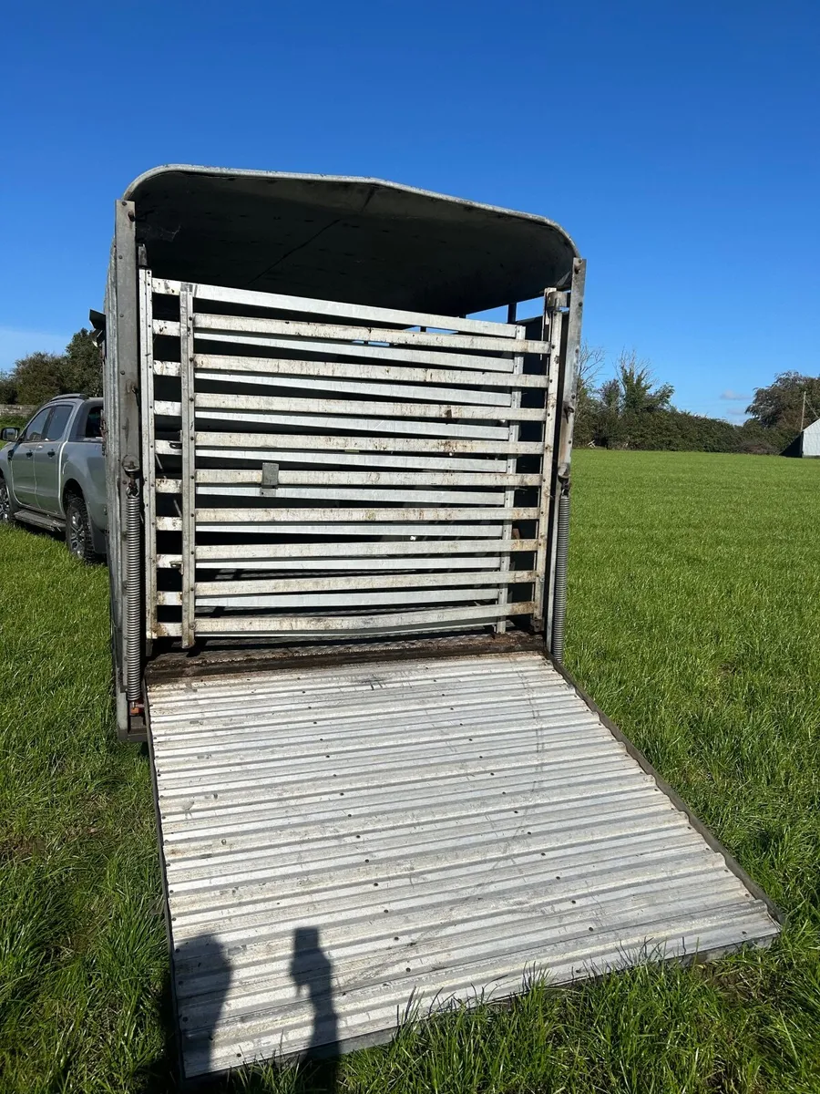 Ifor Williams cattle box - Image 4