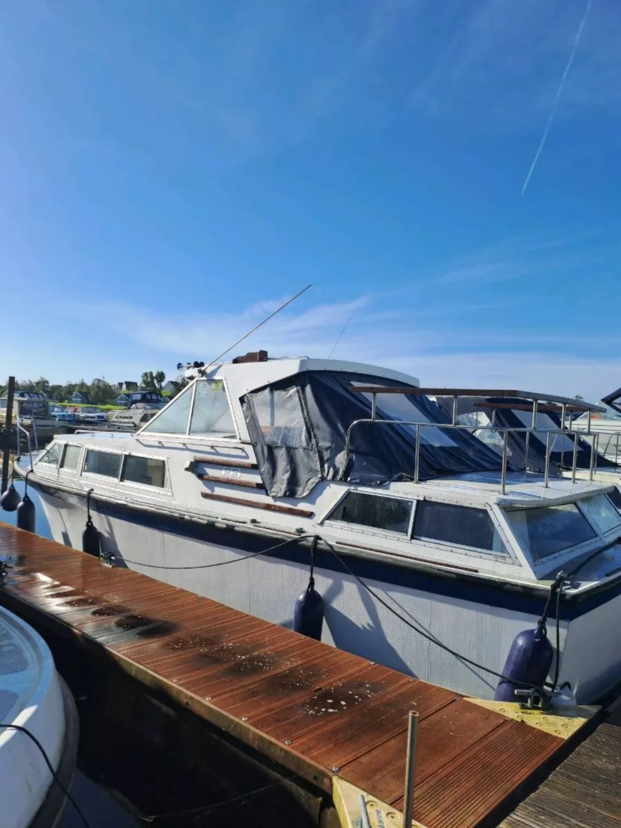 Jolene is for sale - Image 1