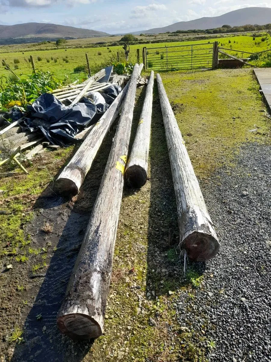Poles and sleepers - Image 1